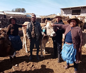 PROGRAMA DE DESARROLLO INTEGRAL ALTO HUARCA